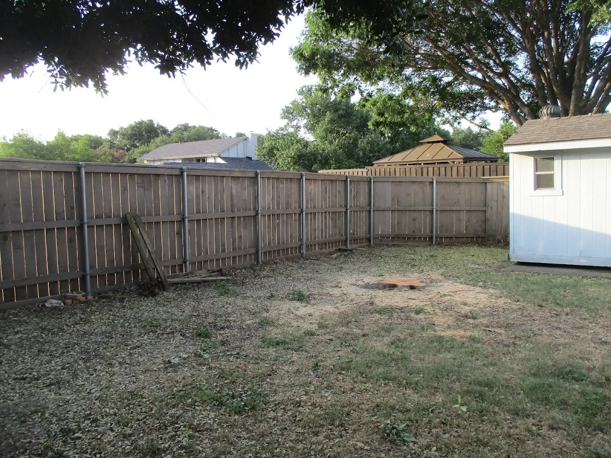 Cleared yard after professional tree removal in Cliffside Park