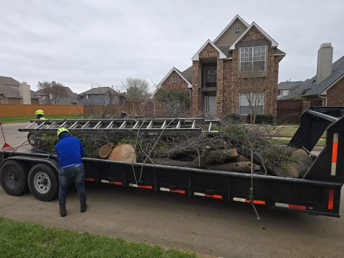 Expert Lot Clearing with proper safety equipment in Cliffside Park